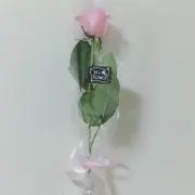 さこの画像