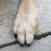 なみなみの画像