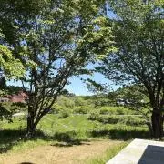 Helloの画像