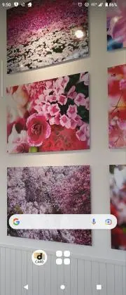 muta_断捨離の画像