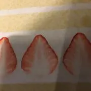 パピの画像