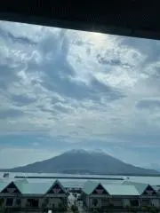 ことり　プロフ必読を！！※平日のみ配送※の画像