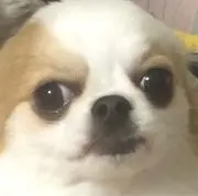 もやし＾＾プロフィール書き足しましたの画像