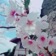 mienie 断捨離セール！