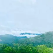 kirby starの画像