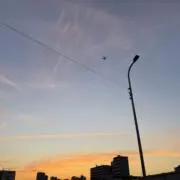 トムの画像
