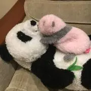 REUGE スイス製 真鍮オルゴール Tristesse 別れの曲 ショパン - メルカリ