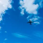 ひまわり