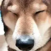 an