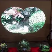 のんの画像