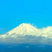 みみずくの画像