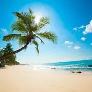 mahalo⭐︎値下げ交渉お受けします!の画像