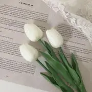 ちぃの画像
