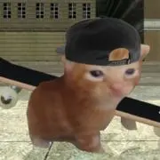 リュの画像