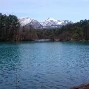 しおりんごの画像