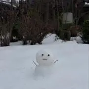 さくらんぼ