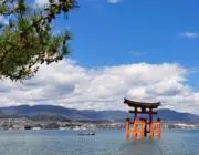 イセコの画像