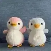 megの画像