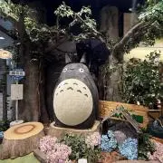 豊夢の画像