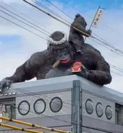 ユウ(値引き×バラ売り×_(._.)_の画像