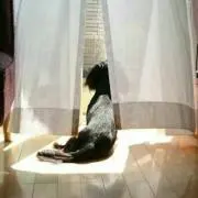 こじこじ