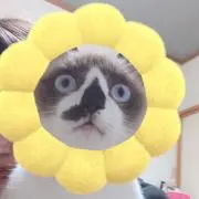 みさぴぴ