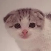 ダナエの画像