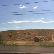 エスパー斎藤