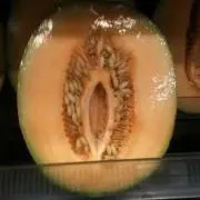 下ネタ大嫌い