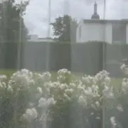 ISHIの画像