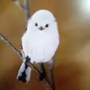 31:51の画像