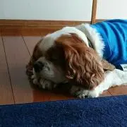 み～にの画像