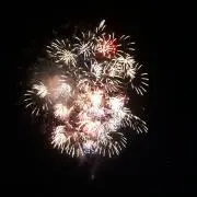べべの画像