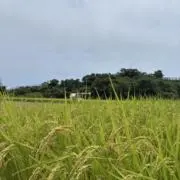 時農園の画像