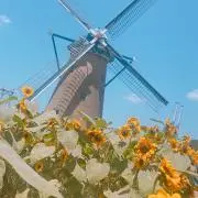 駿河の画像