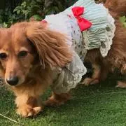 にこにこの画像