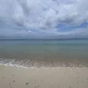 natsuの画像