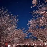 yusuの画像