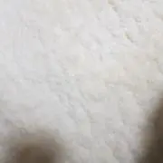 うの