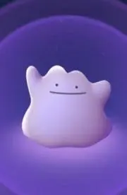 やどかりの画像