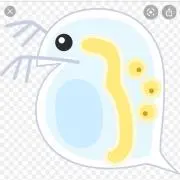 タウ　　即日発送タバコペット臭い無しの画像