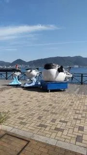 フィルクーの画像