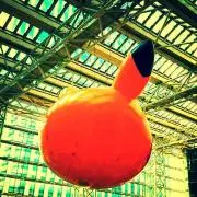 さつき (8/10〜8/31発送不可)の画像
