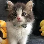 ＼(^^)／の画像
