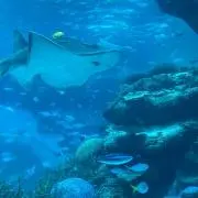 みずの画像
