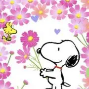 こむぎの森(設定期日内発送予定)の画像