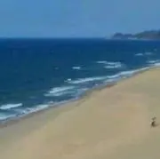 はるの画像