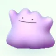 だにゃーんの画像