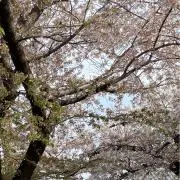 断捨離中♪の画像