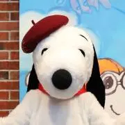 もりぃの画像